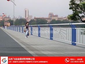 聊城飛龍橋梁護(hù)欄公司 鑄就道路安全屏障，匠心打造交通安全設(shè)施工程